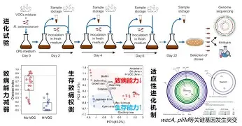 KPL电竞平台 -转折点！迈阿密热火队长鼓劲，德甲赛后攻防权衡，底气十足，团队化学反应显著的简单介绍